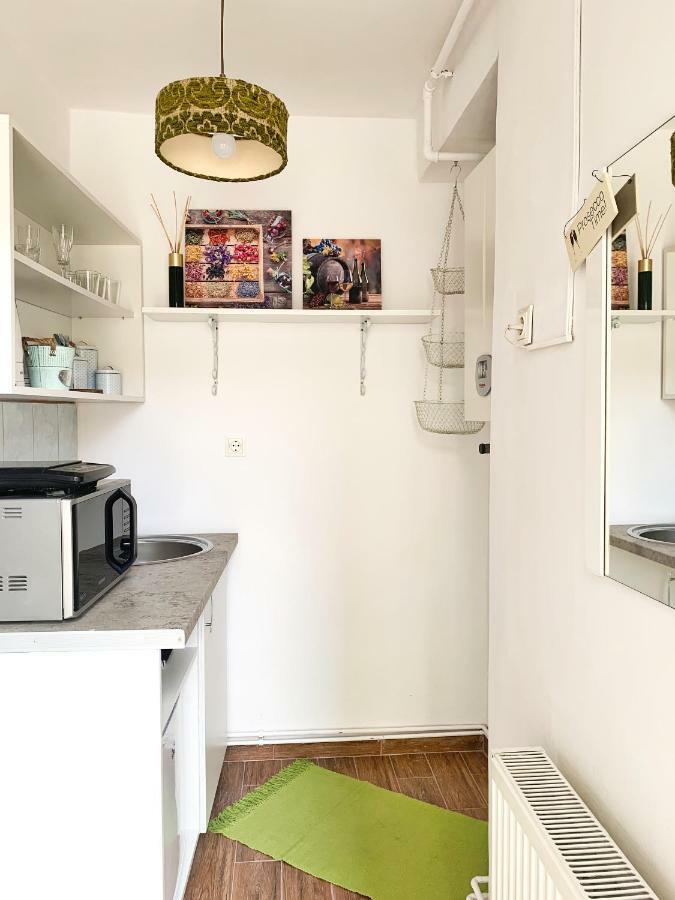 Pine House Apartman Brassó Kültér fotó