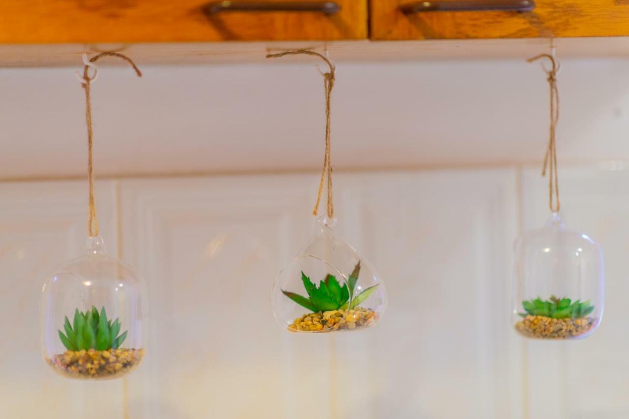 Pine House Apartman Brassó Kültér fotó